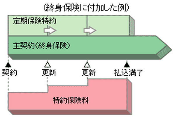 生命保険を見直すなら最低限おさえておきたいこと。「更新型保険」にも注意。