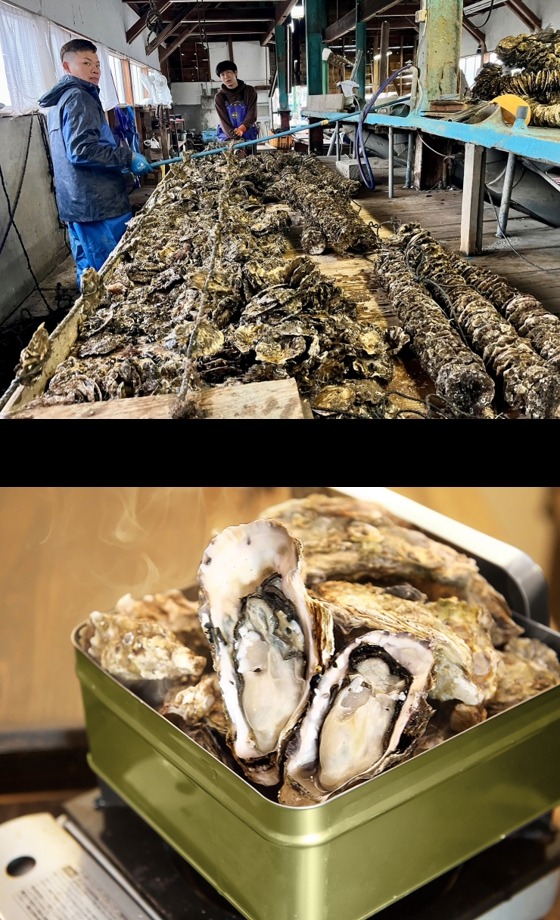 全国の魚介グルメがお台場に集結！魚ジャパンフェス2024開催(11/1-4)