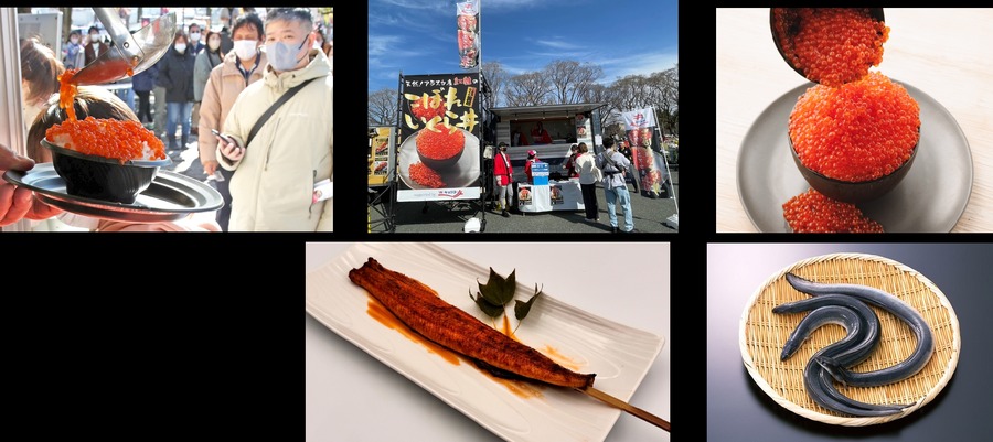 全国の魚介グルメがお台場に集結！魚ジャパンフェス2024開催(11/1-4)