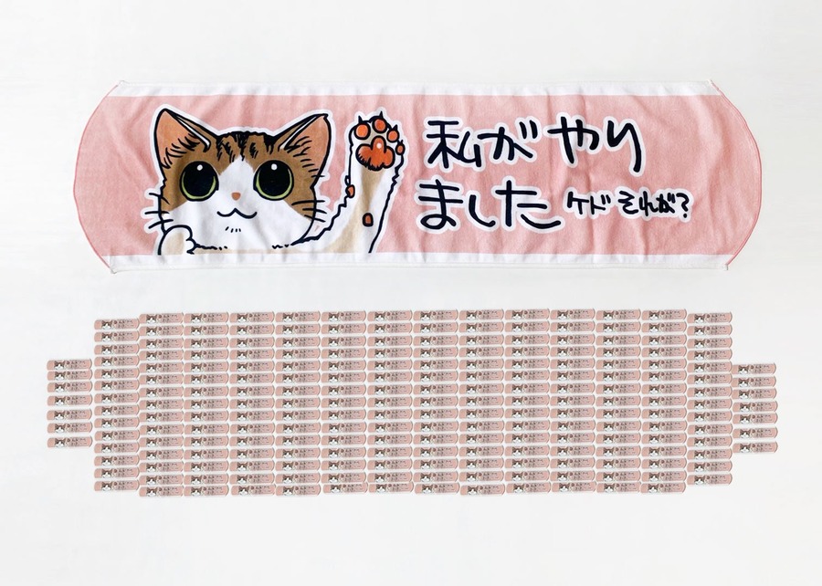 【フェリシモ猫部】「にゃんそうこう」の発売10周年記念で特大タオルプレゼント(10/12まで)