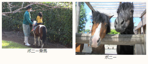 都内23区で入園料が一番安い公営遊園地「あらかわ遊園」をご紹介します