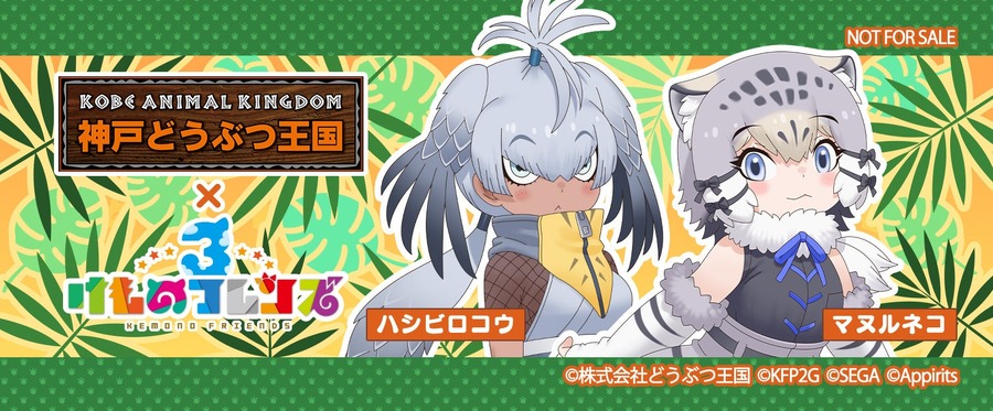 「けものフレンズ3」と「神戸どうぶつ王国」がコラボ！新フレンズも登場(10/18-11/7)