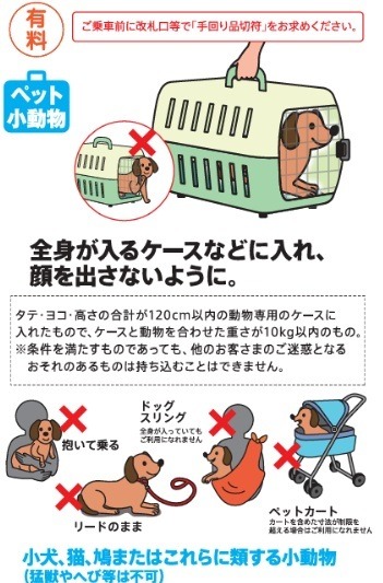 新幹線に乗りたい！　座席に関する意外なルールをまとめました