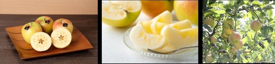 産直テーブル、北海道＆九州の秋の味覚フェア開催！　目玉は「知床産秋鮭」