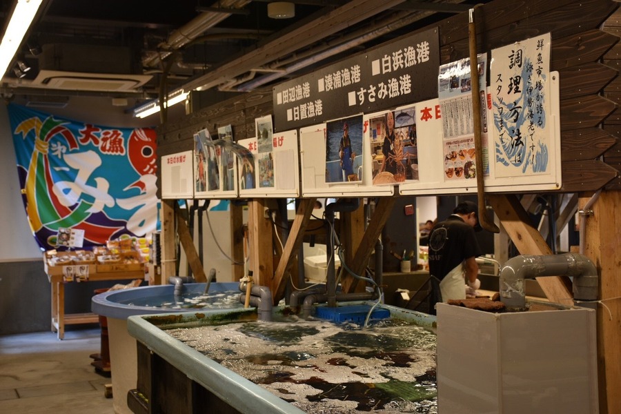 年末大感謝祭でポイント2倍に　紅葉と海の恵みを楽しむ日帰りツアー販売開始