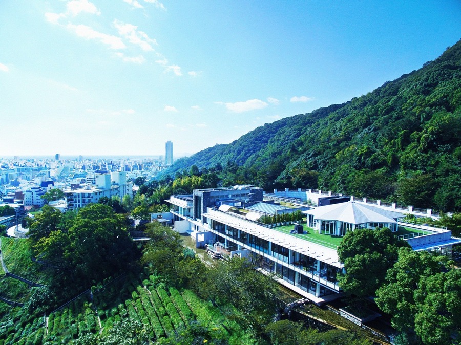 神戸北野に新たな花の空間登場　神戸の海と街を一望する「SOLA KOBE」