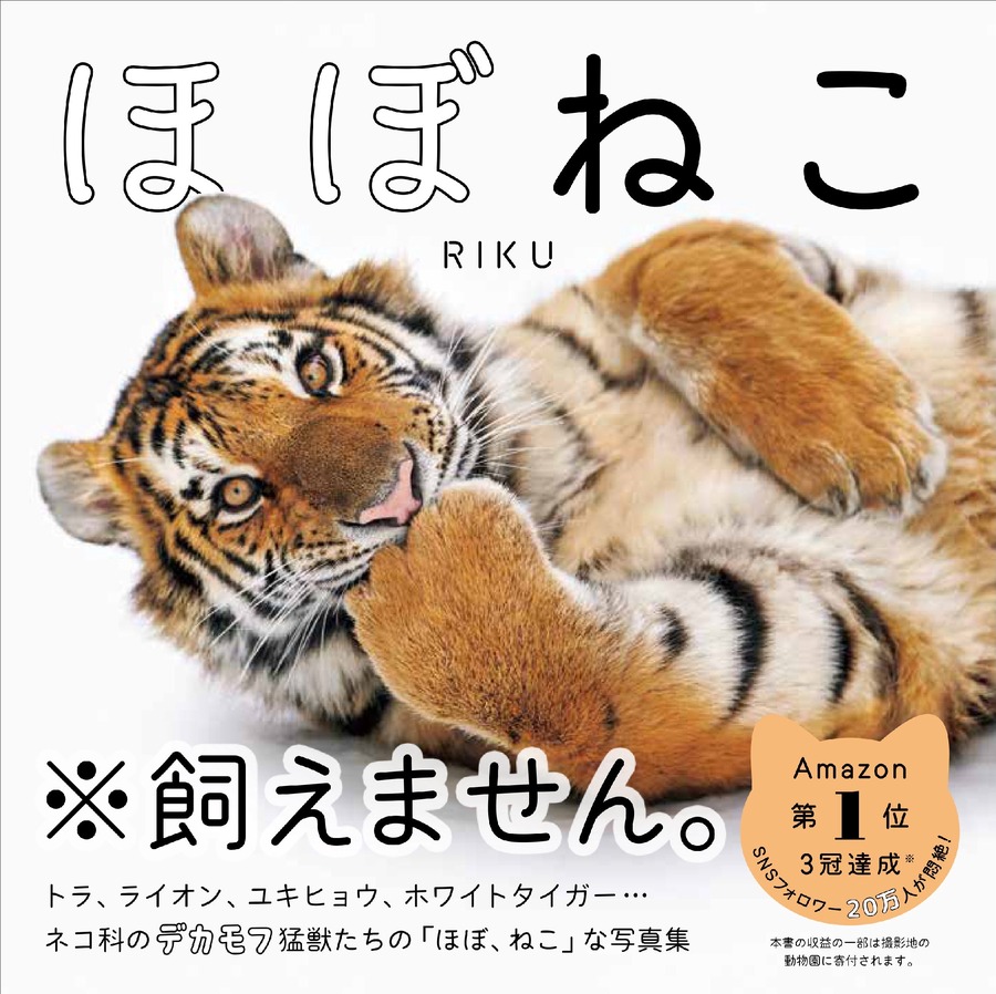 絶滅危惧種の魅力「ユキヒョウ写真集『ほぼねこ』」