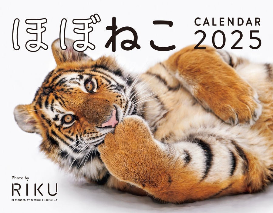 絶滅危惧種の魅力「ユキヒョウ写真集『ほぼねこ』」