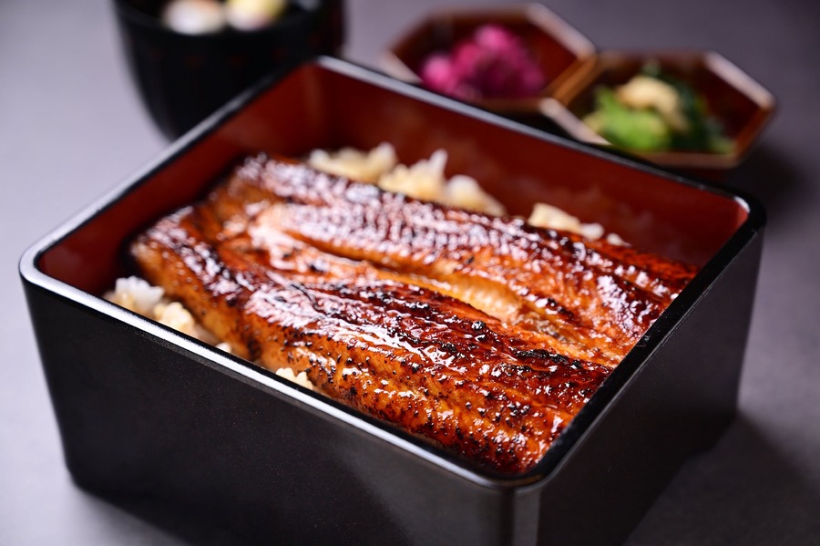 非日常の鰻を日常価格で提供する「うなぎのおか福」愛知県岡崎市に10/25オープン　インスタフォローキャンペーンも