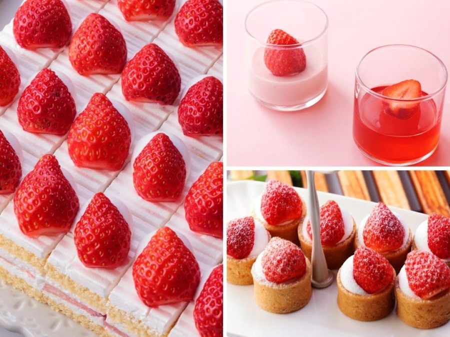 ホテルニューオータニ幕張「SPY×FAMILY」ビュッフェ開催(12/3-1/15)