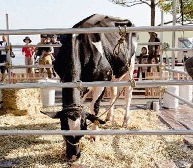 47都道府県 牛乳&ヨーグルト飲み食べ比べ「土日ミルクフェス2024」(11/16)