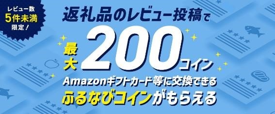 【ふるさと納税】ポイ活のコツは「複数自治体に少額寄附」！年間およそ38万ポイントを獲得するポイ活主婦が教えるワザ