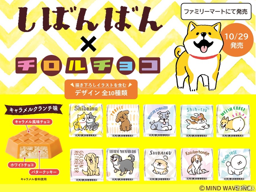 かわいい柴犬のチロルチョコ登場　人気キャラ「しばんばん」とコラボ新商品発売