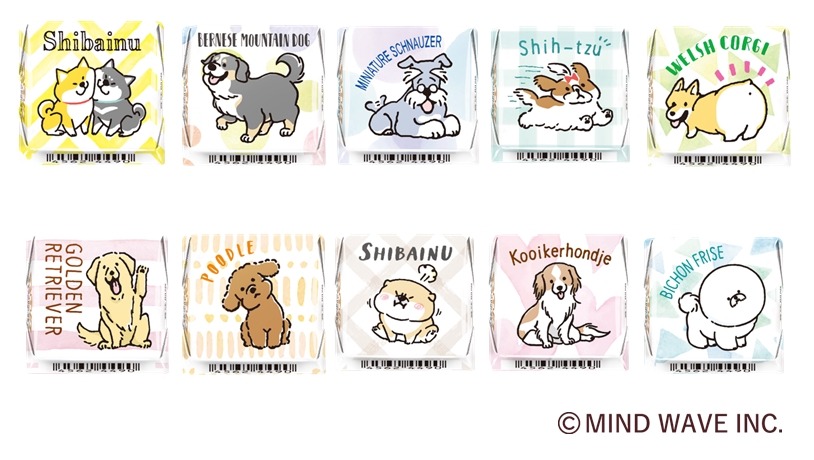 かわいい柴犬のチロルチョコ登場　人気キャラ「しばんばん」とコラボ新商品発売