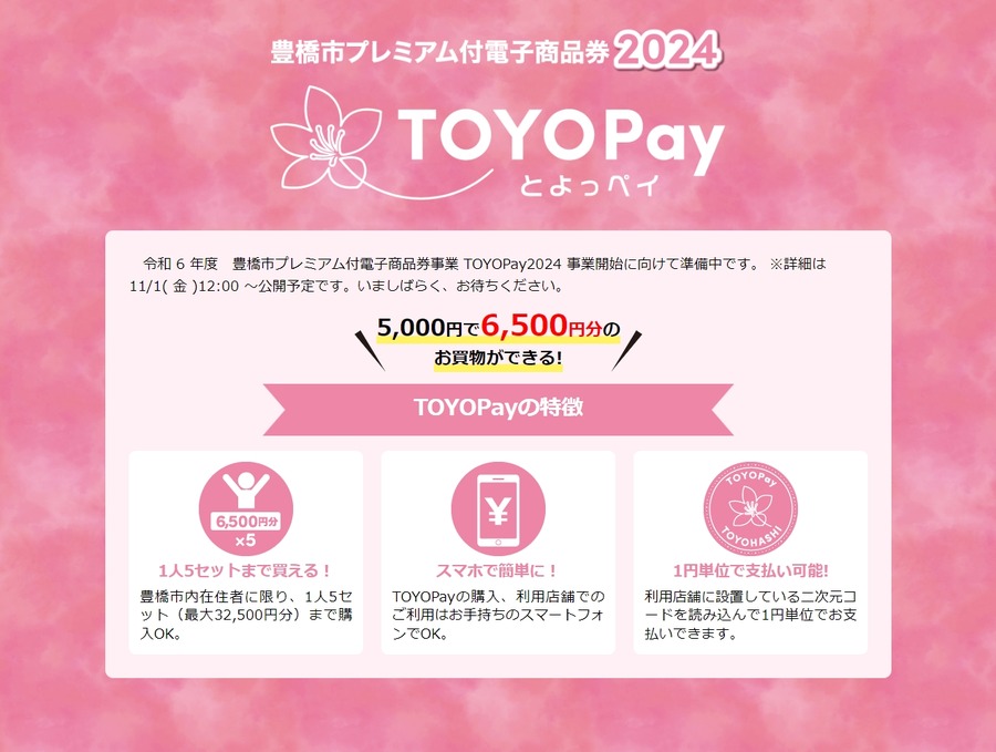 豊橋市民限定！TOYOPayでお得に買い物