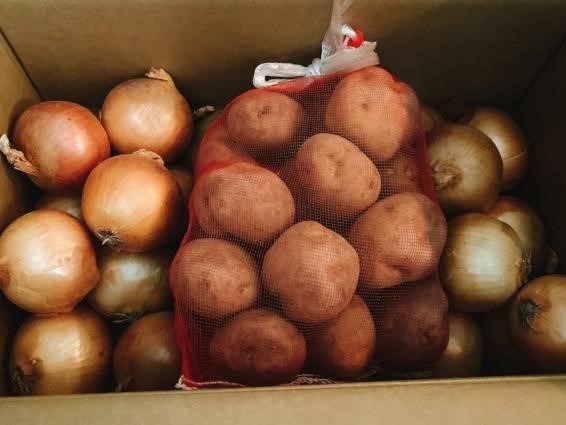 【11月の野菜の価格】農林水産省より、野菜の生育状況及び価格見通し発表