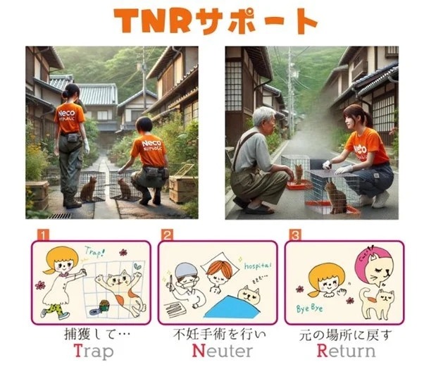 猫の殺処分ゼロへ  ふるさと納税で新プロジェクト