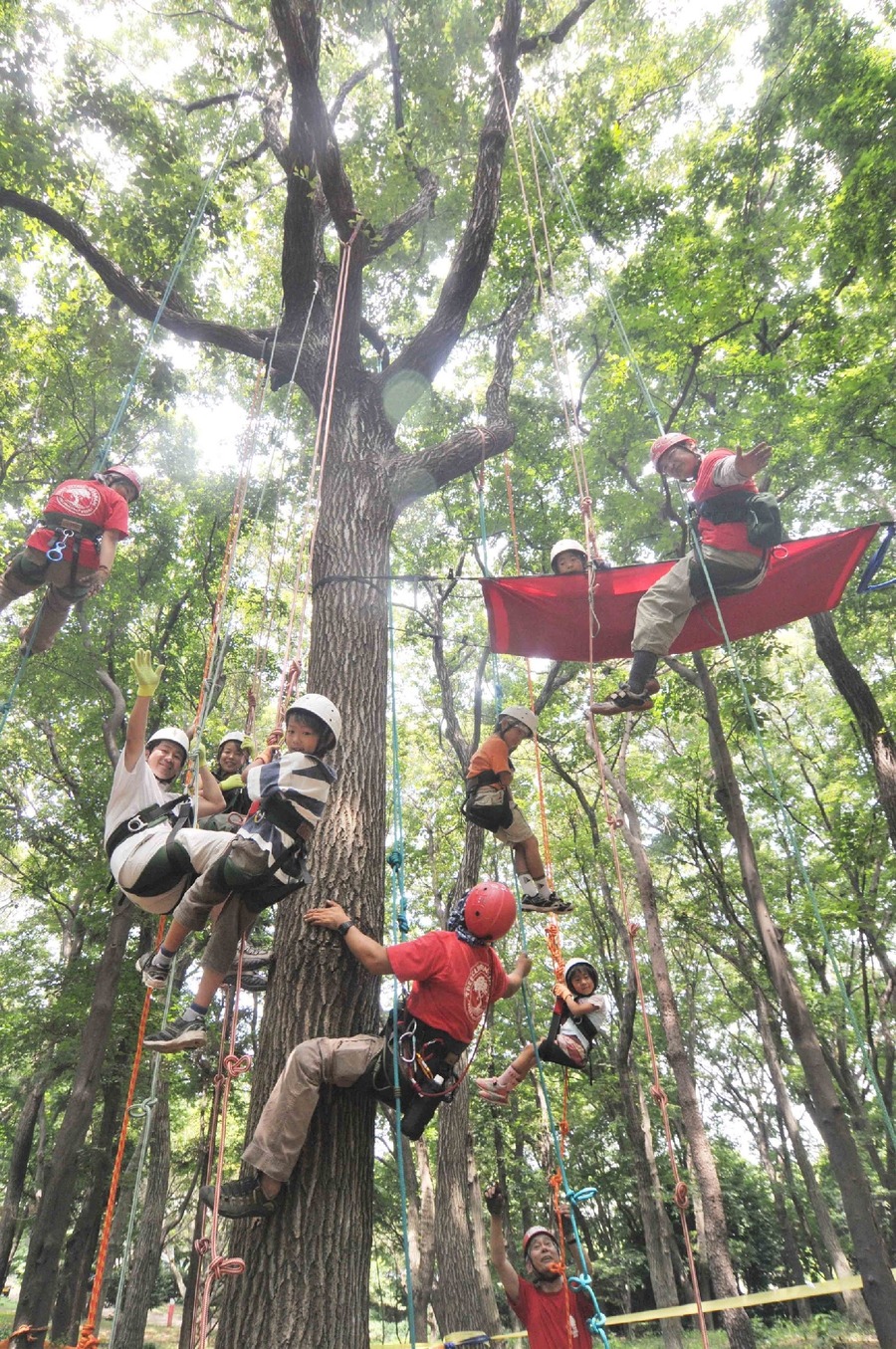 【入場無料】神奈川「横山公園」で秋のイベント開催　地元グルメと体験を堪能しよう(11/23、24)　