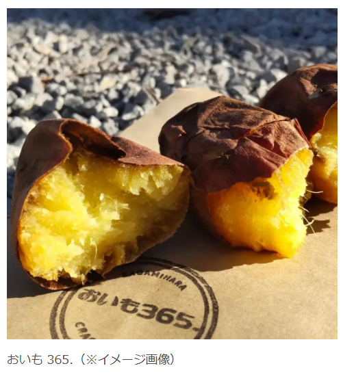 【入場無料】神奈川「横山公園」で秋のイベント開催　地元グルメと体験を堪能しよう(11/23、24)　