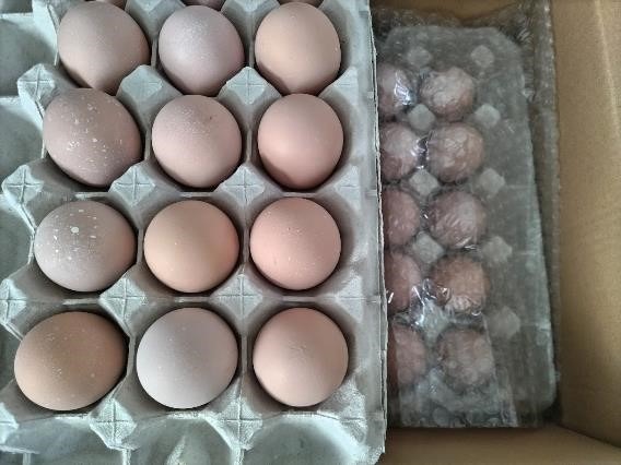 【ふるさと納税でそろう】物価高に負けない「食費が助かる」アイテム8選＋おまけ1つ