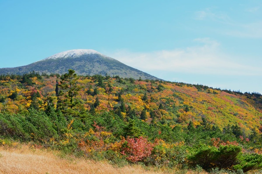 リニューアルした「青春18きっぷ」の代わりに！2024年冬の行楽におすすめのお得な切符と使い方