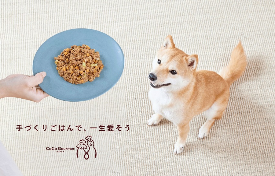 「フレッシュドッグフード」もブラックフライデー価格！　楽天市場では通常価格より33％オフセール