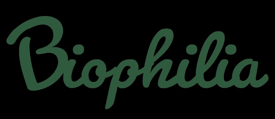 「フレッシュドッグフード」もブラックフライデー価格！　楽天市場では通常価格より33％オフセール