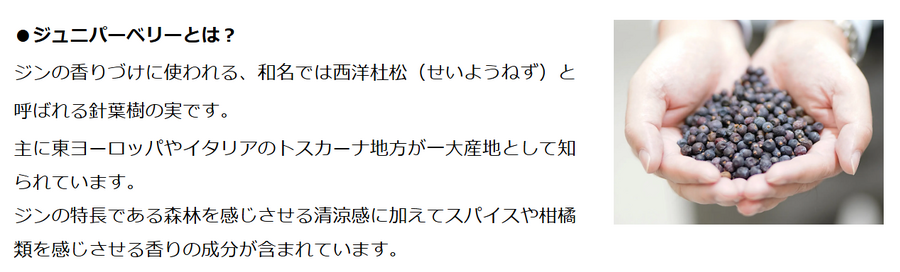 今年流行りましたね！　お家で「Premium ジントニック」いかがでしょう