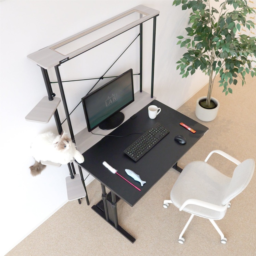 猫とゲーマーの新たな共存空間 「タワーラック」販売開始