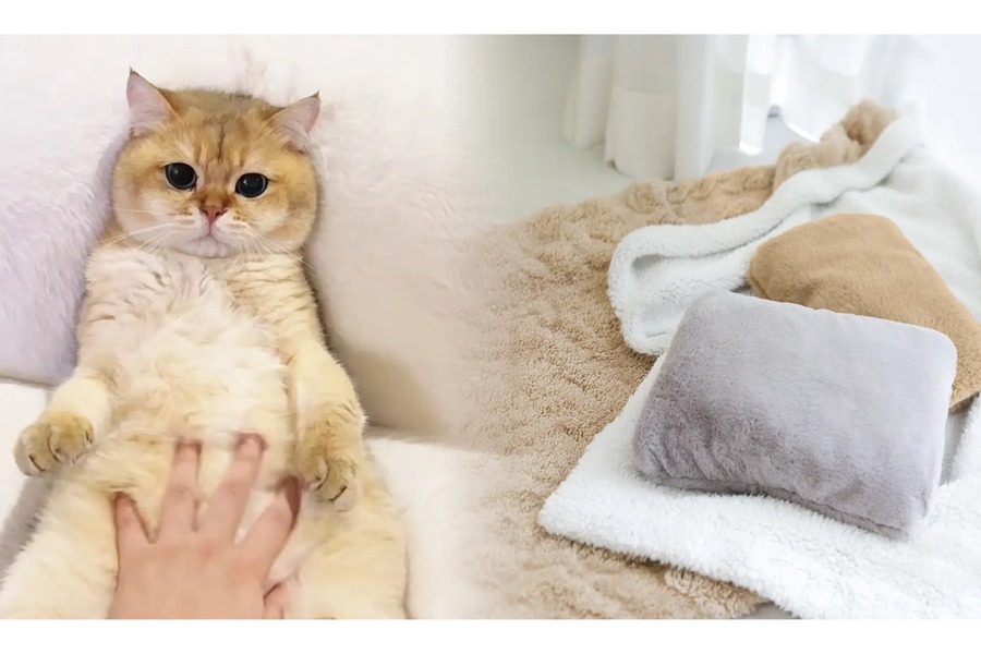 Amazonブラックフライデーで冬支度　モバイルバッテリーにもなるカイロや蓄熱式湯たんぽ