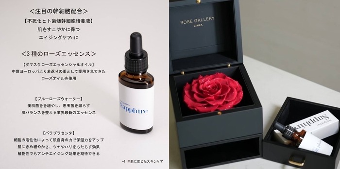【12/8限定】銀座で特別なプロポーズを！「ROSE GALLERY」冬キャンペーン