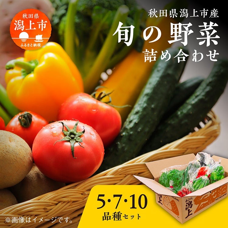 秋田県潟上市の新鮮野菜セット、ふるさと納税に登場