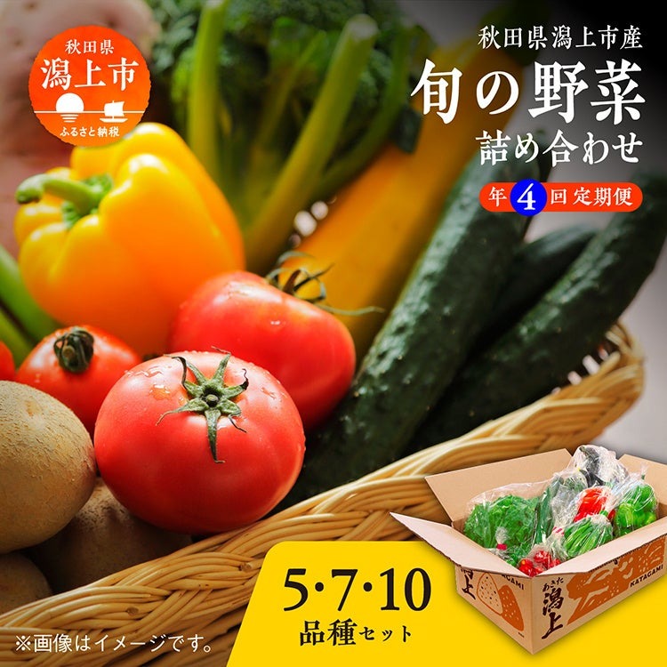 秋田県潟上市の新鮮野菜セット、ふるさと納税に登場