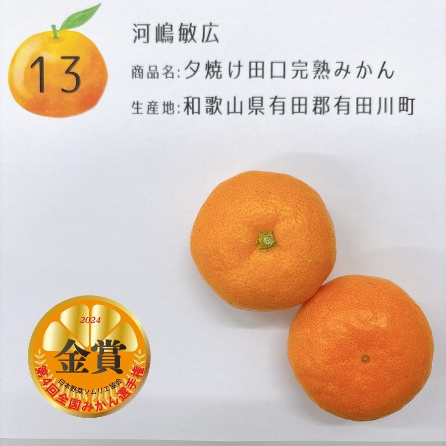 全国みかん選手権、最高金賞は熊本の「肥のあすか」