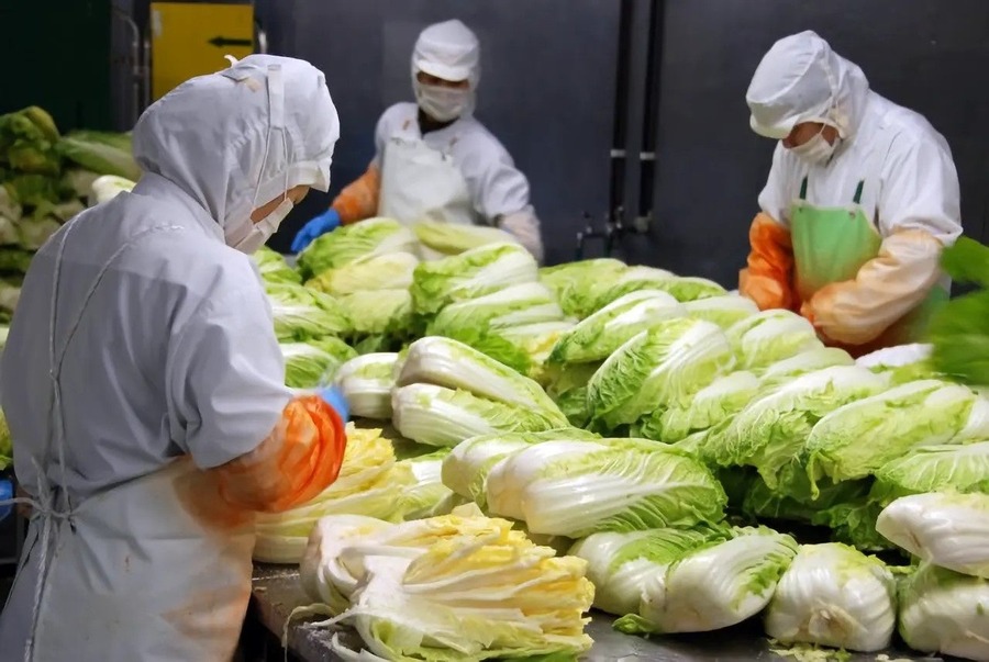 この時期だけ！冬季限定「牡蠣キムチ」販売開始