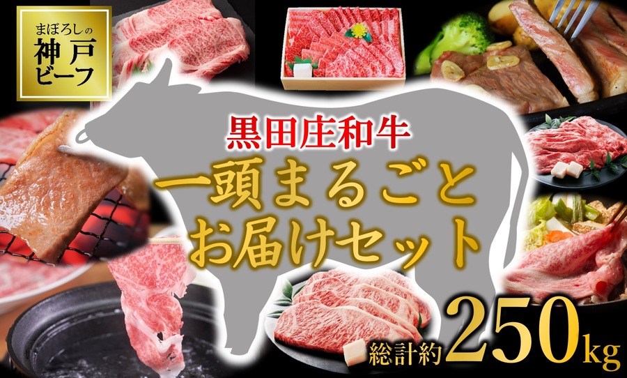 黒田庄和牛「1頭セット」がふるさと納税に登場　大人数での利用に最適！