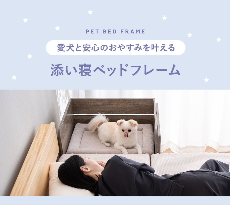 愛犬と「添い寝」できるベッド　安全を考慮した設計で新発売