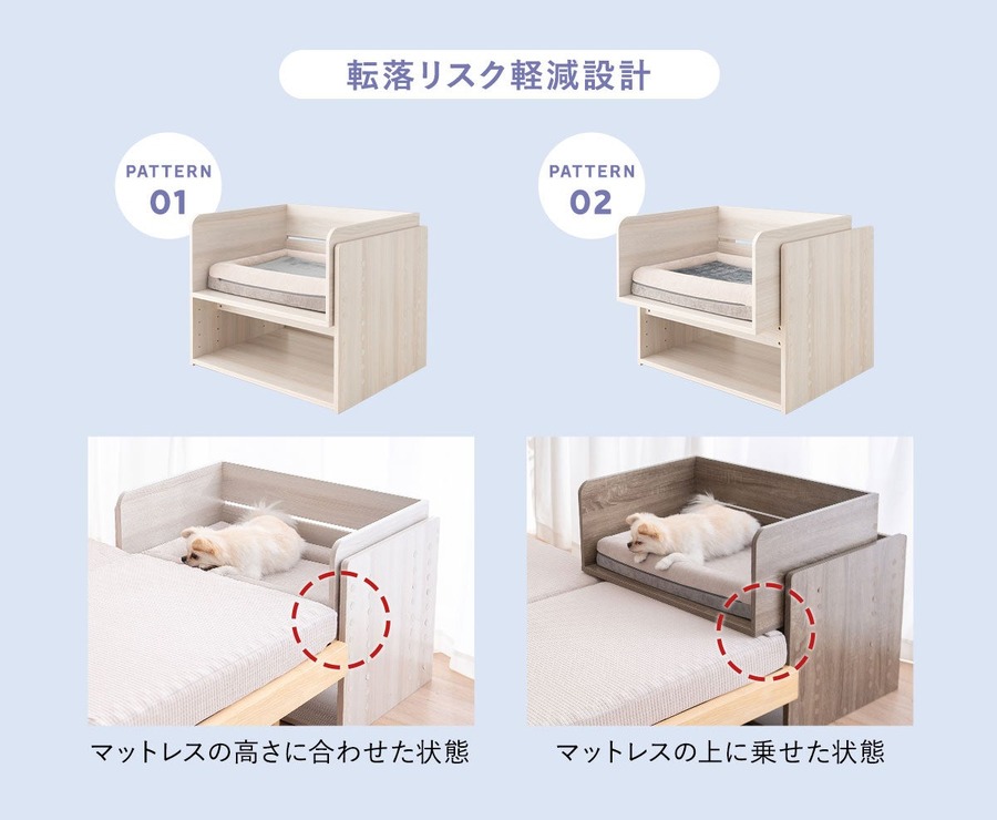 愛犬と「添い寝」できるベッド　安全を考慮した設計で新発売