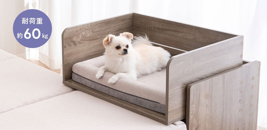 愛犬と「添い寝」できるベッド　安全を考慮した設計で新発売