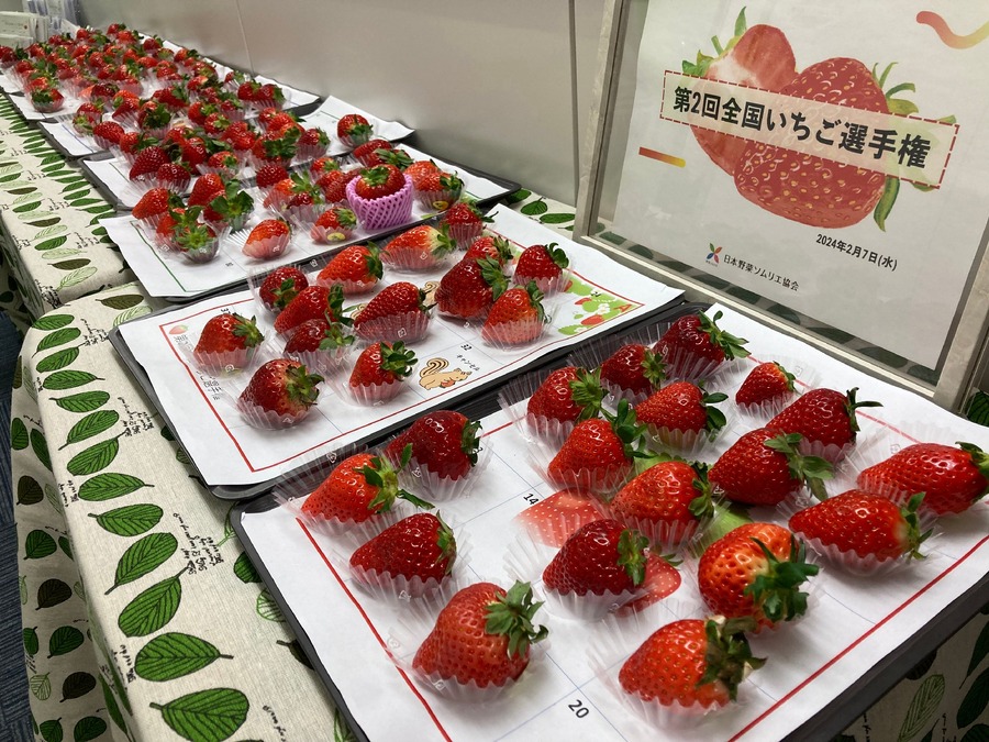 あまりんが2年連続独走中！　全国いちご選手権、2025年2月開催