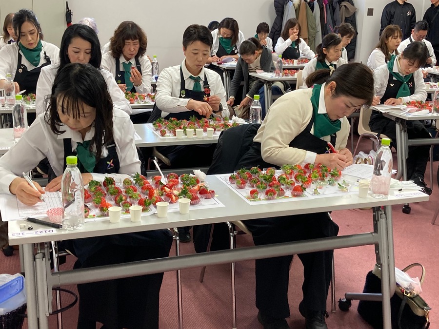 あまりんが2年連続独走中！　全国いちご選手権、2025年2月開催