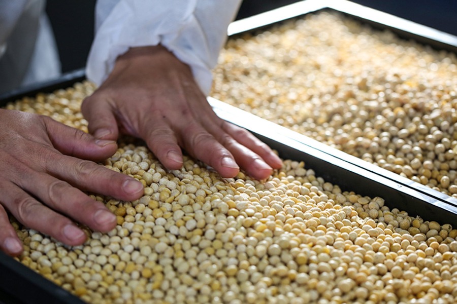 腸までしっかり届く「はすやの粉なっとう」グランプリ受賞　20％オフ記念セール開催中