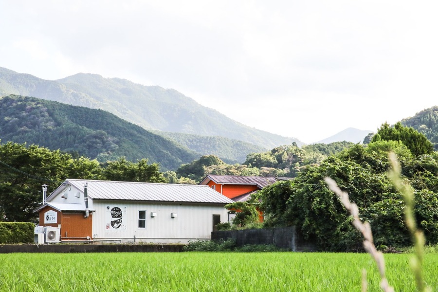腸までしっかり届く「はすやの粉なっとう」グランプリ受賞　20％オフ記念セール開催中