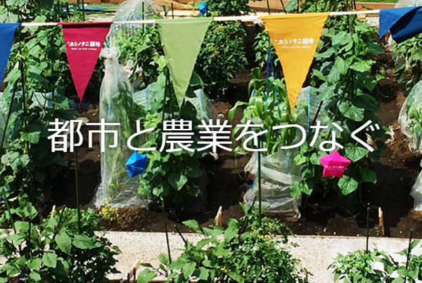 人気急上昇の「シェア畑」や「まちなか菜園」　都会でできる農業体験を詳しく解説します