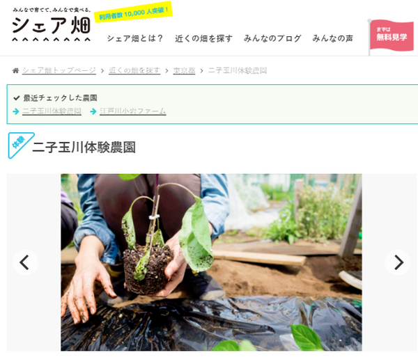 人気急上昇の「シェア畑」や「まちなか菜園」　都会でできる農業体験を詳しく解説します