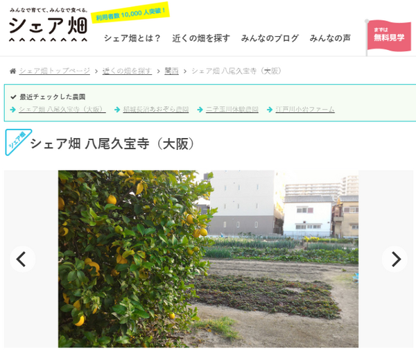 人気急上昇の「シェア畑」や「まちなか菜園」　都会でできる農業体験を詳しく解説します
