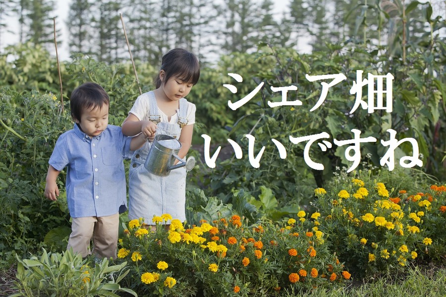 人気急上昇の「シェア畑」や「まちなか菜園」　都会でできる農業体験を詳しく解説します