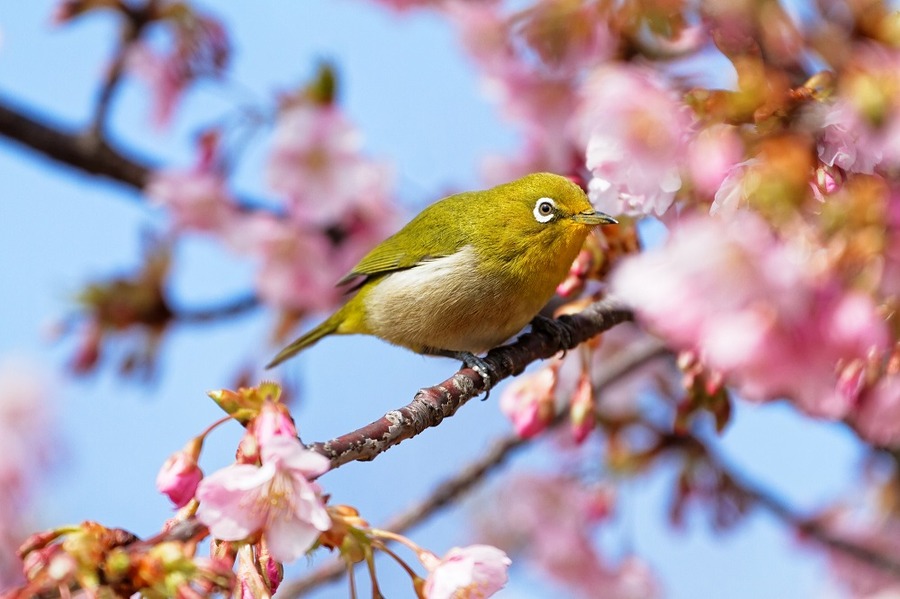 3月後半、4月末に向け相場環境は良好