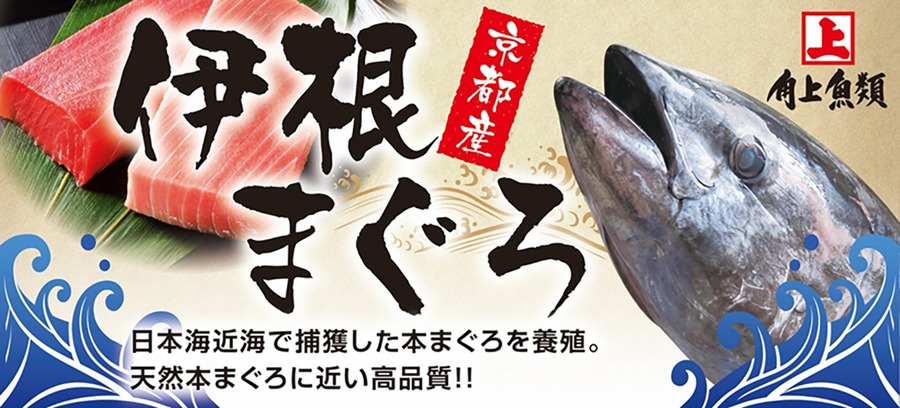 1/5全店で国産まぐろ「解体実演販売」を開催　角上魚類