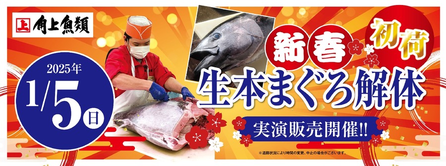 1/5全店で国産まぐろ「解体実演販売」を開催　角上魚類